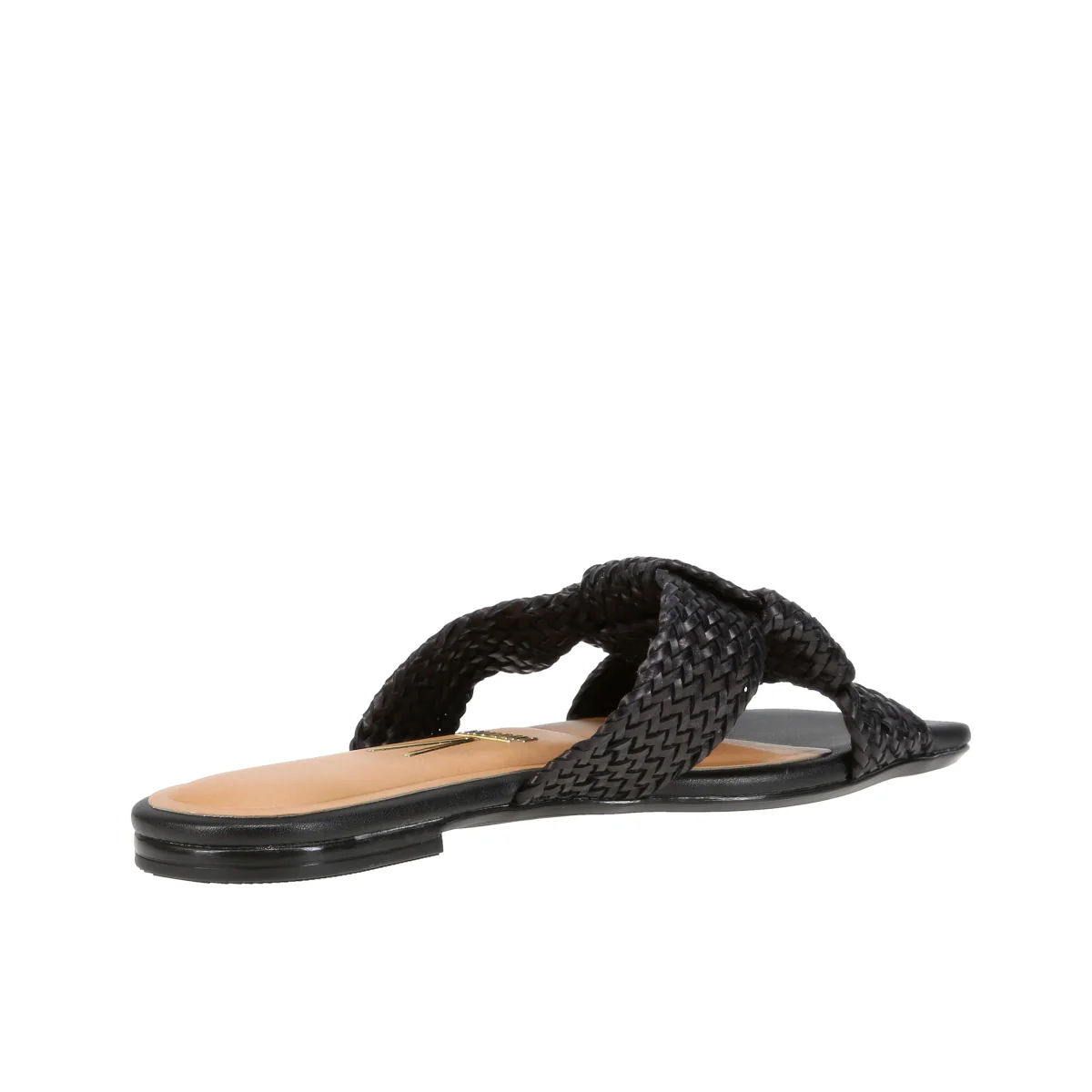 6513113 Gaspea Pelica - Image 3