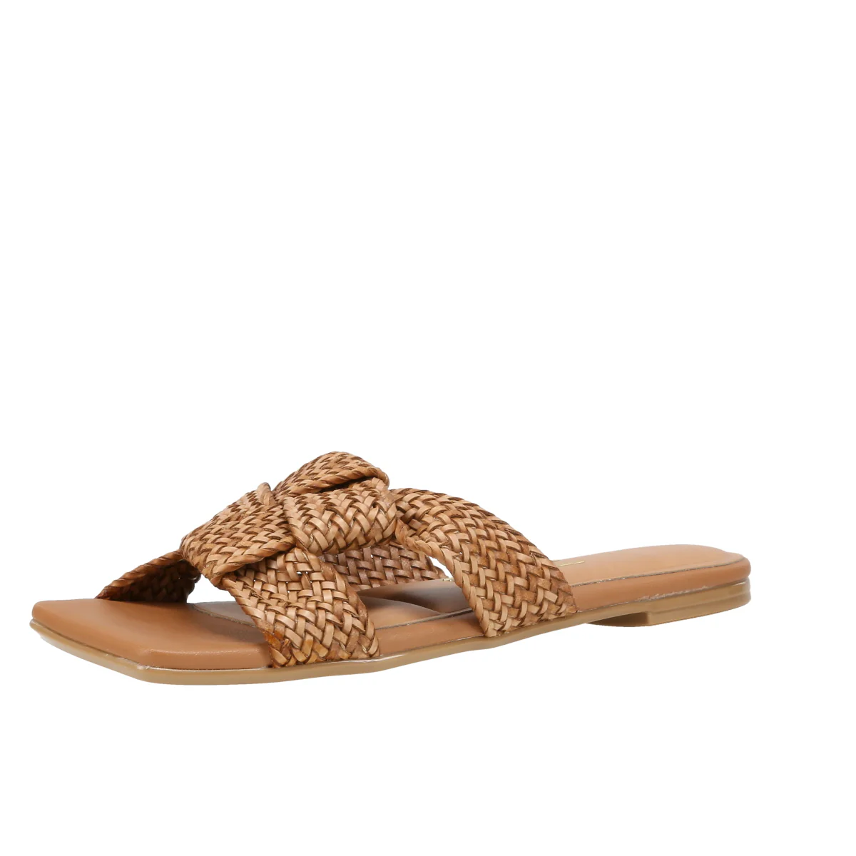 6513113 Gaspea Pelica - Image 5
