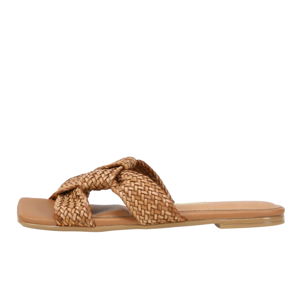 6513113 Gaspea Pelica - Image 6