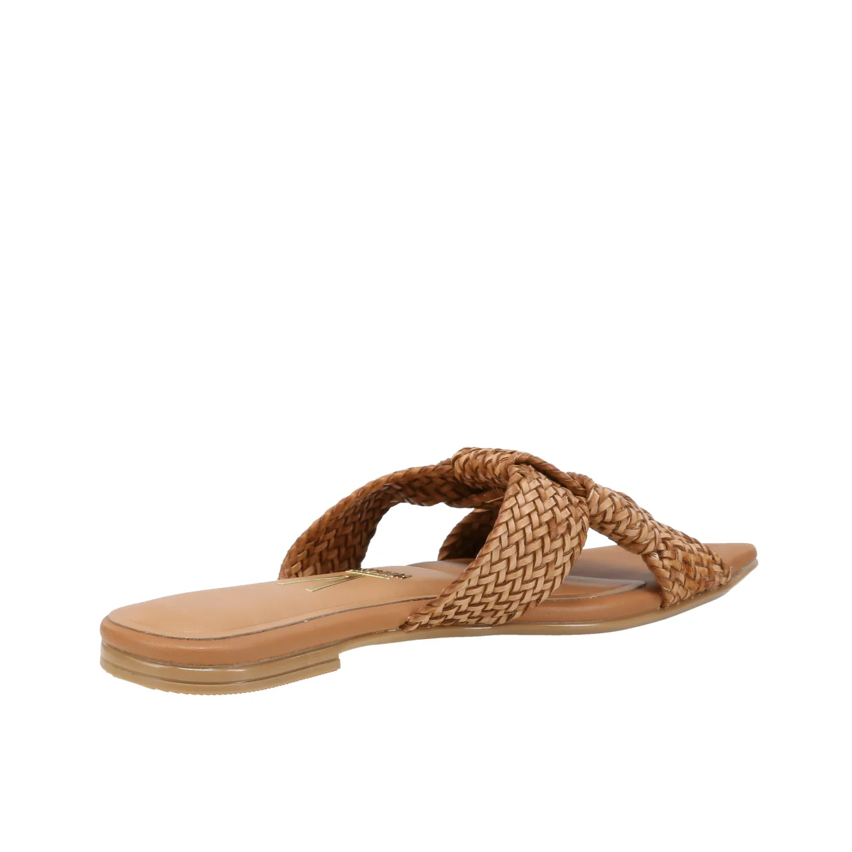 6513113 Gaspea Pelica - Image 7