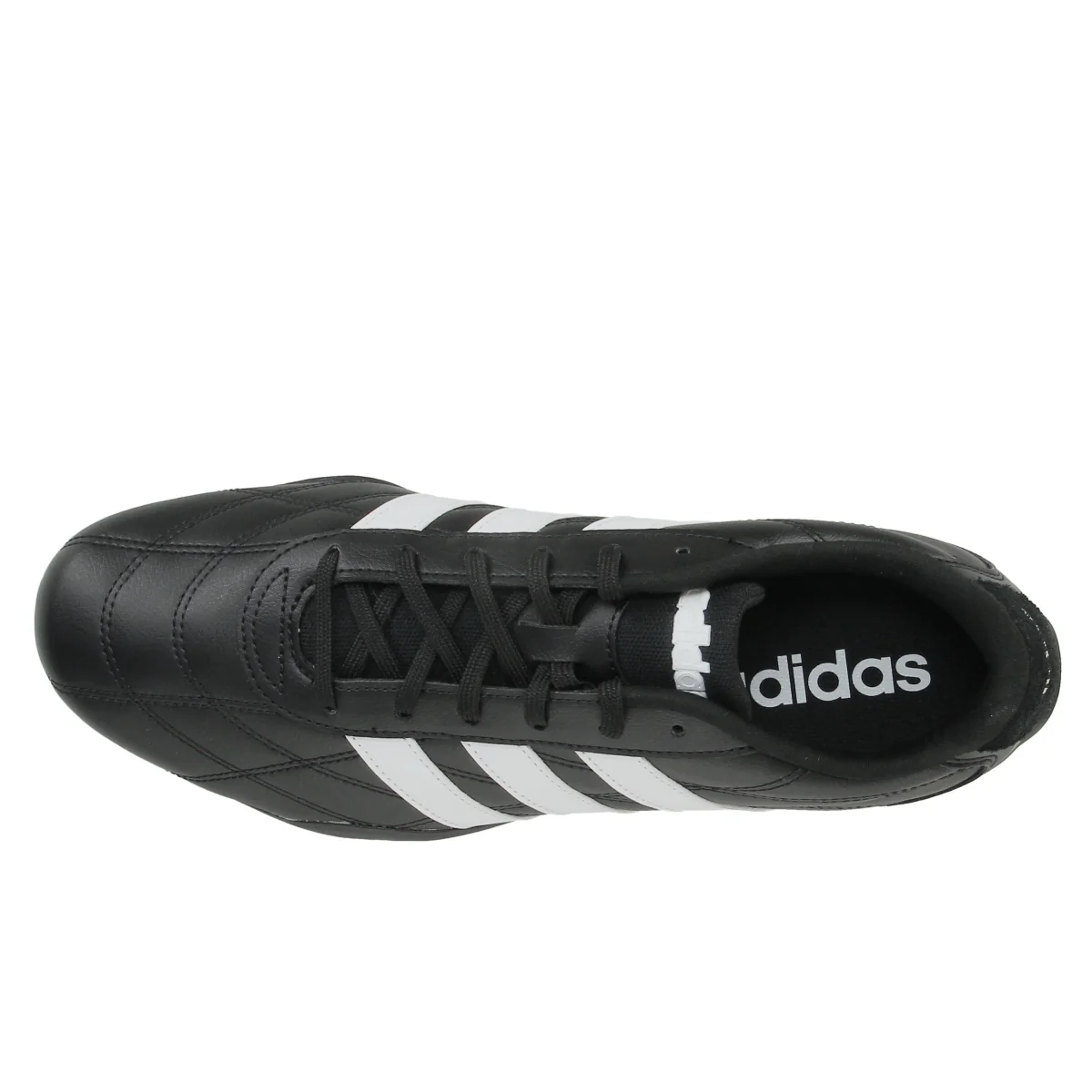 Adipista - Image 4