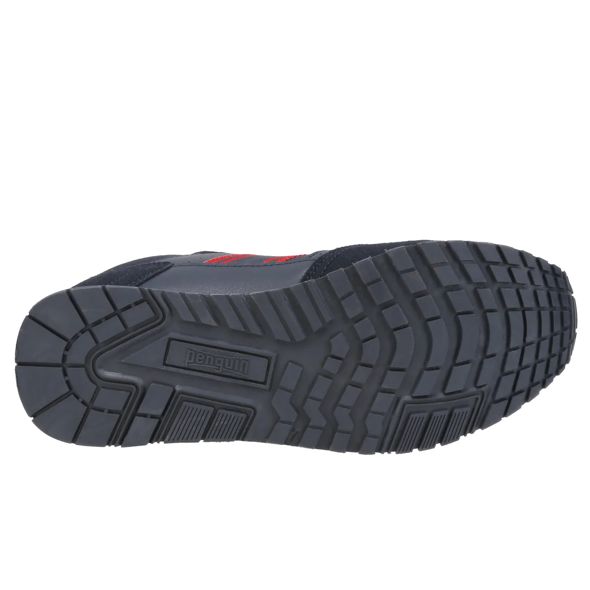 Latin Jr - Image 10
