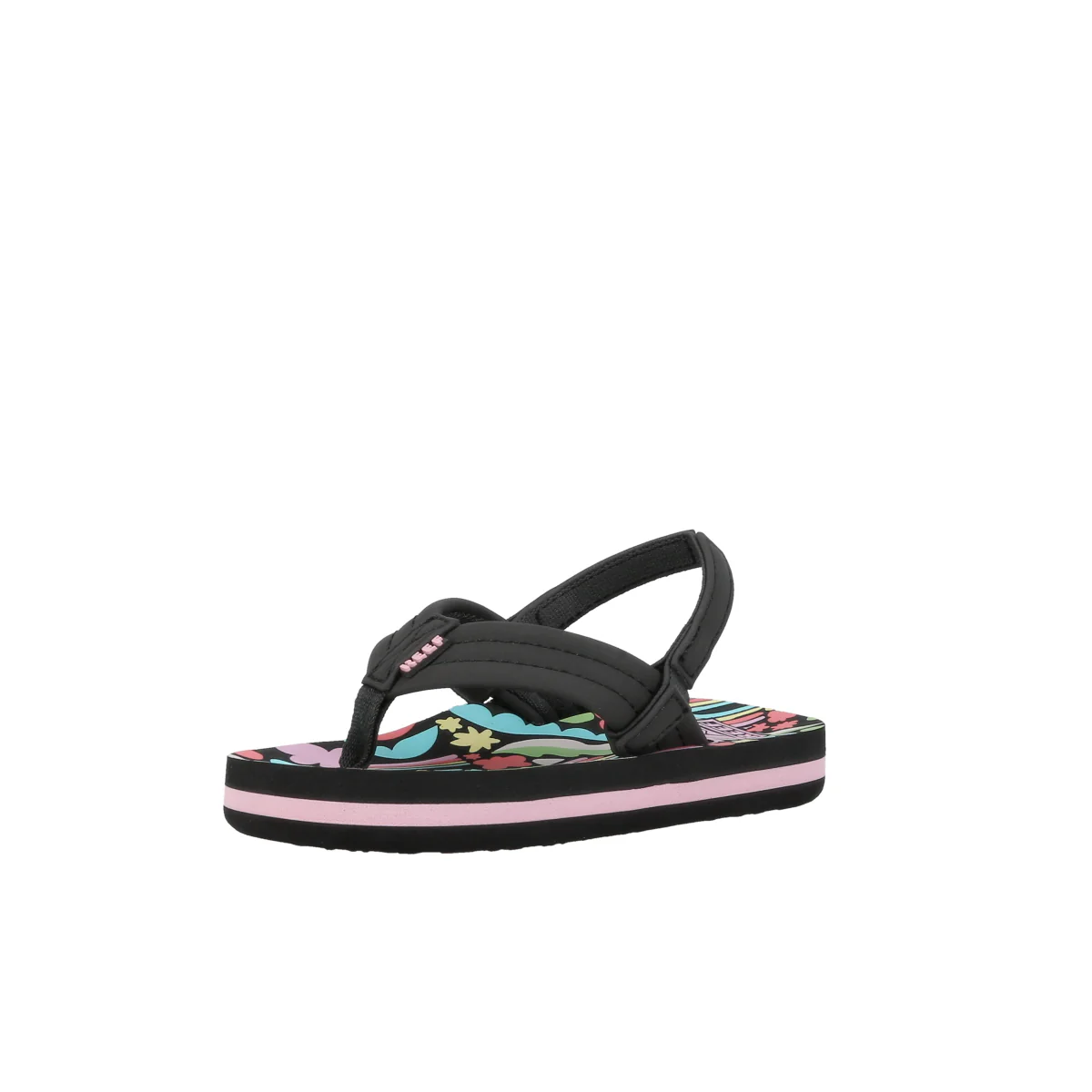Little Ahi - Image 11