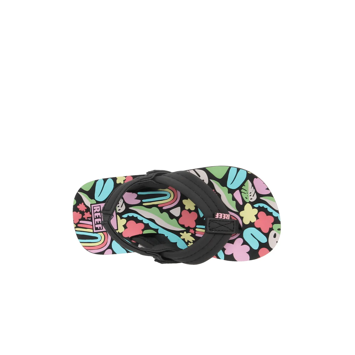 Little Ahi - Image 14