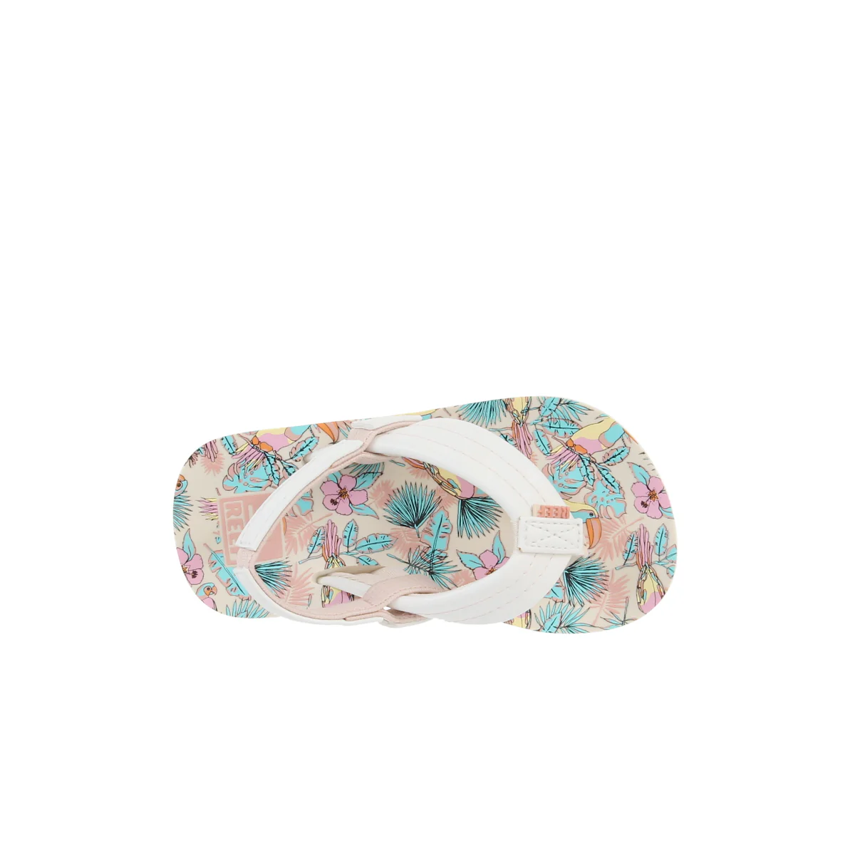 Little Ahi - Image 19
