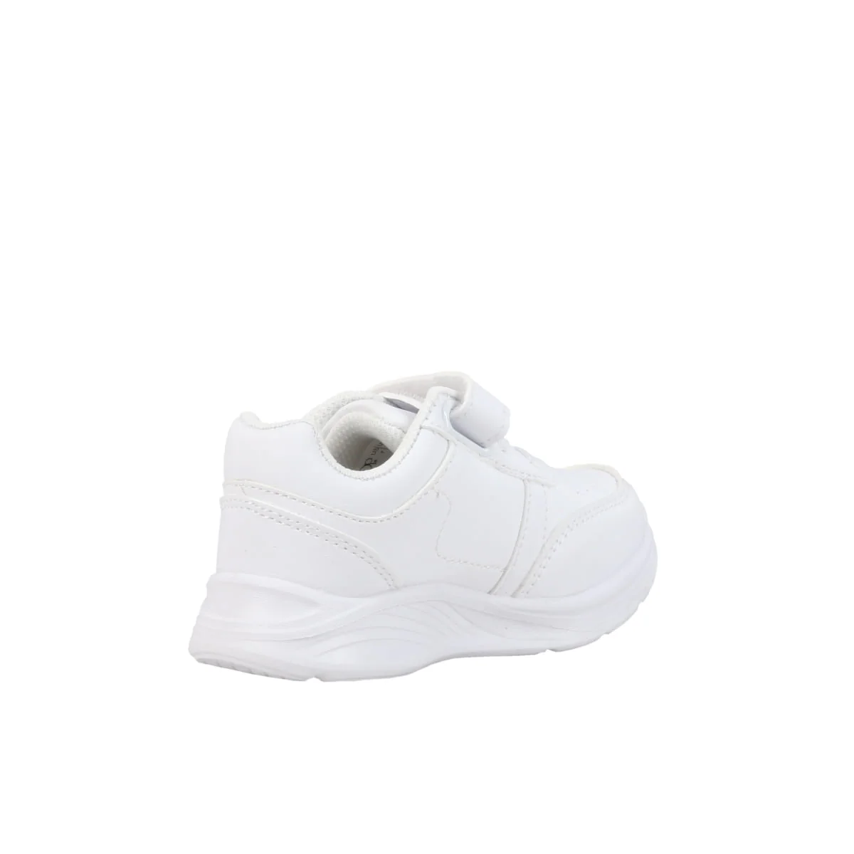 NED-G - Image 3
