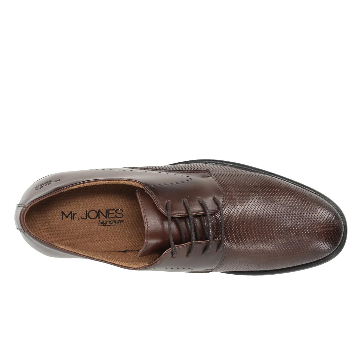 Orce - Image 4