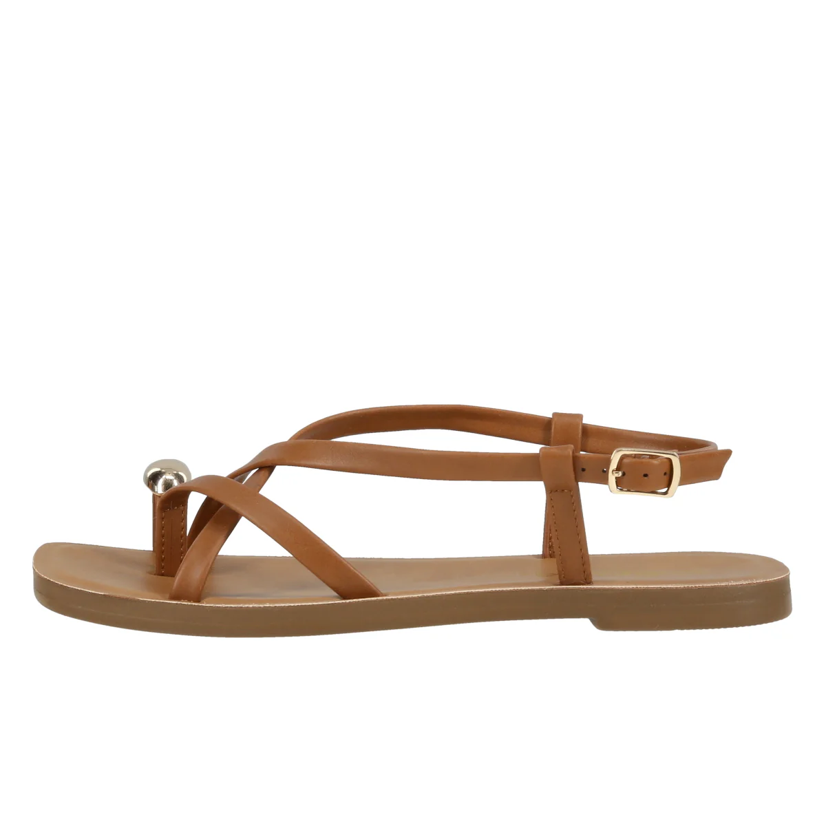 Palila - Image 6