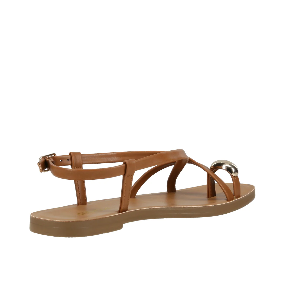 Palila - Image 7