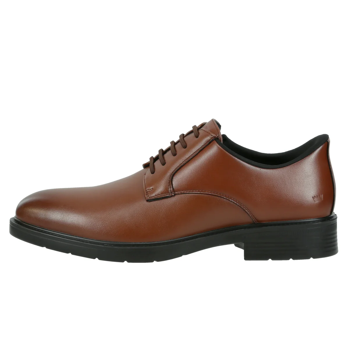Regal Fit - Image 2