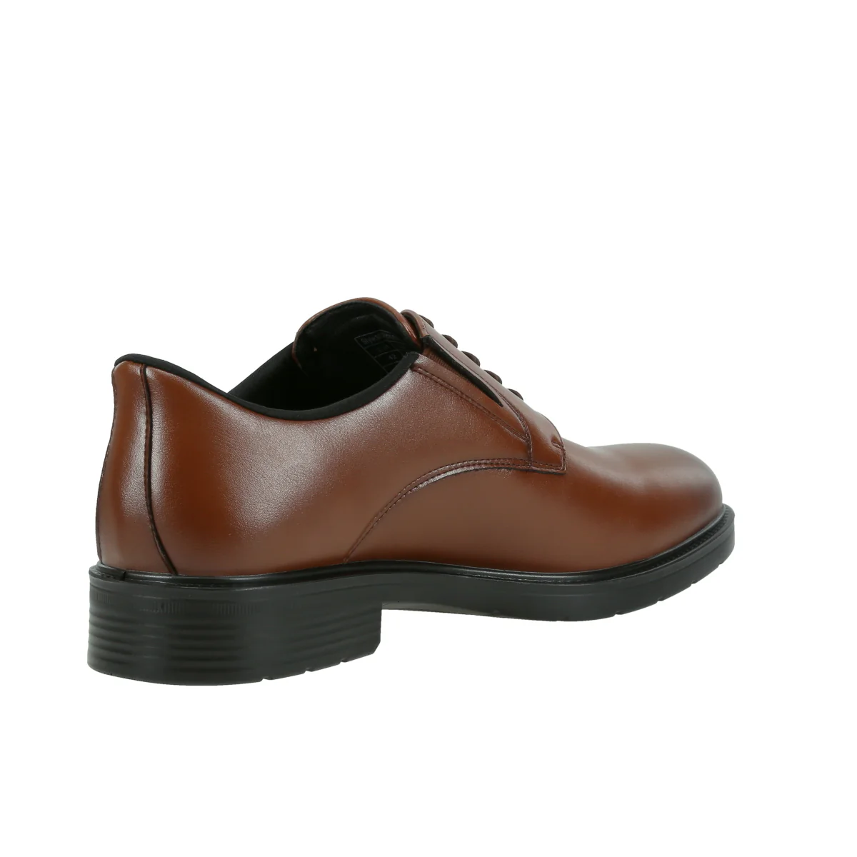 Regal Fit - Image 3