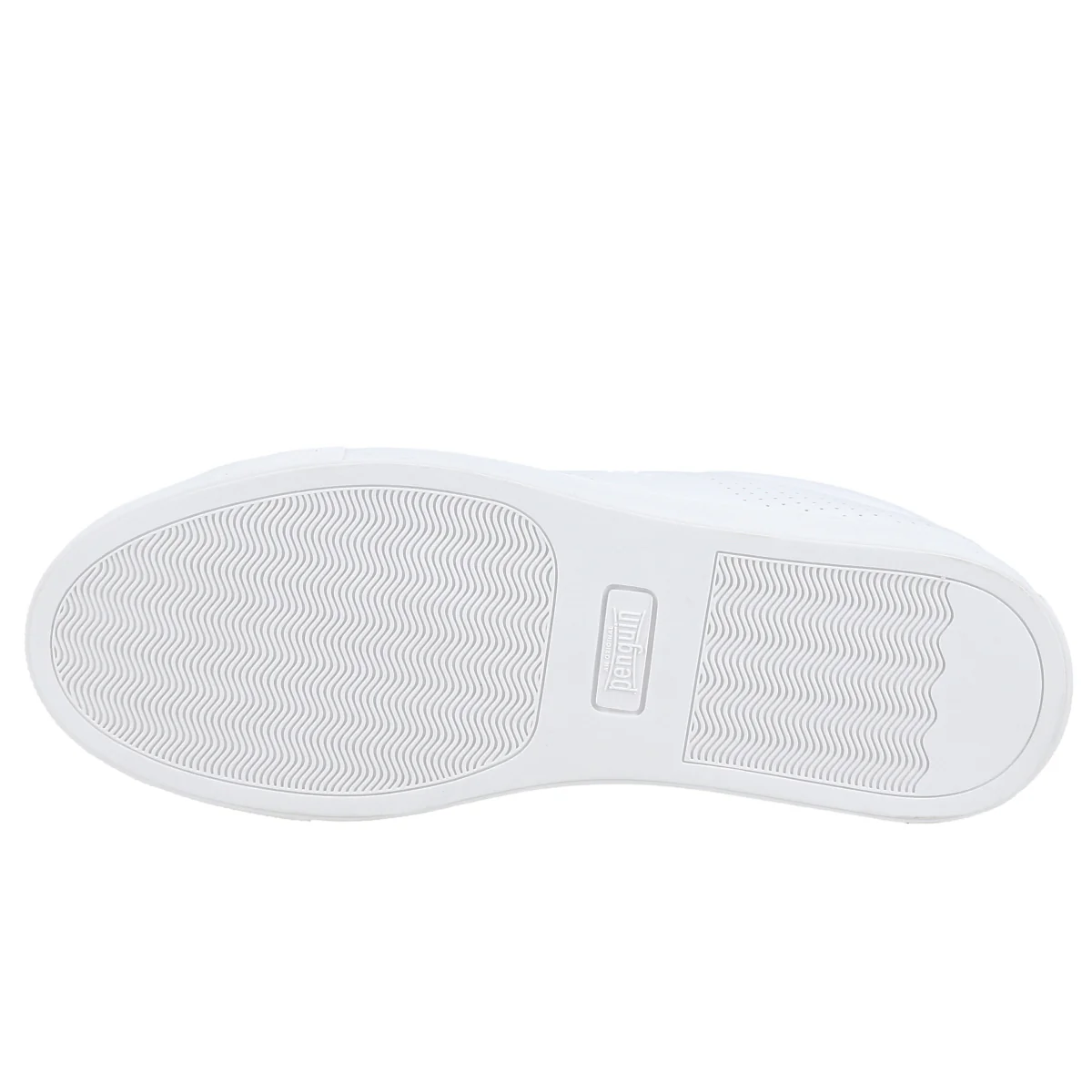 Terrest Jr - Image 10