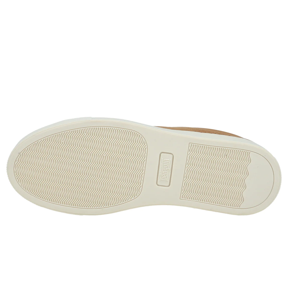 Terrest Jr - Image 5