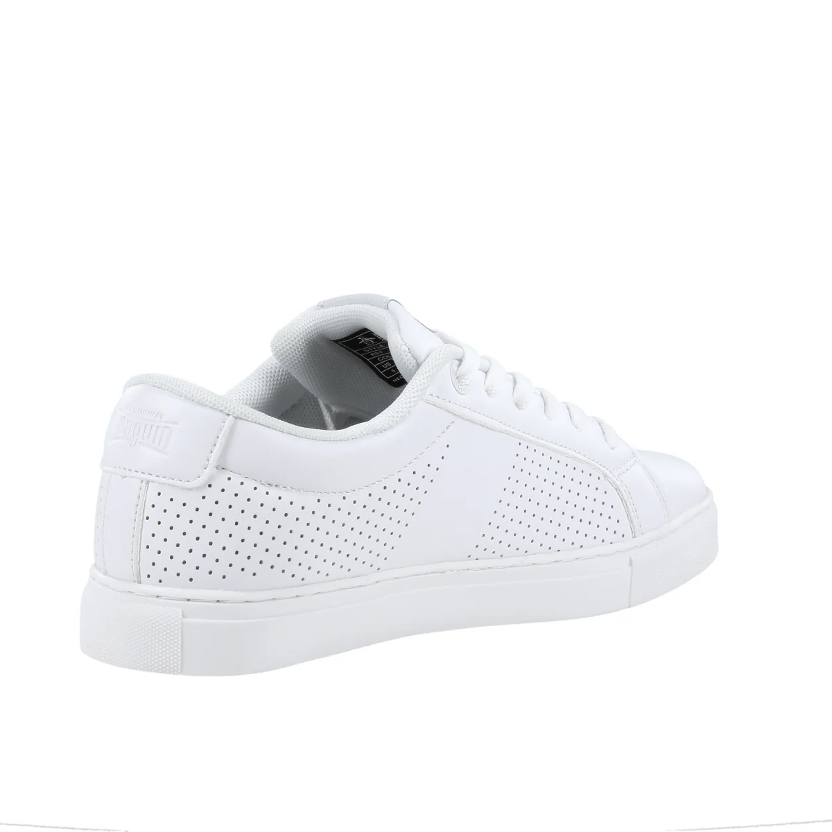 Terrest Jr - Image 8