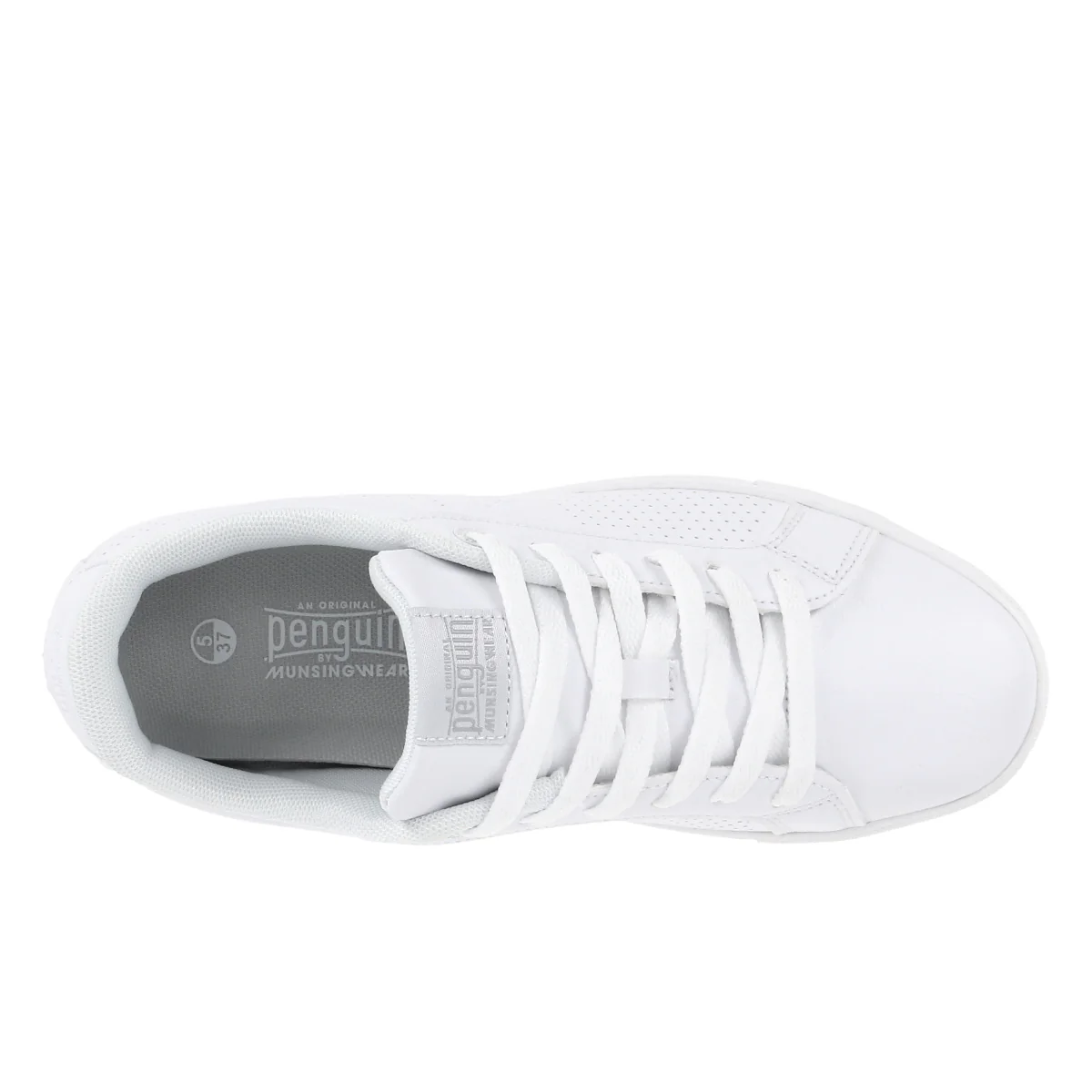 Terrest Jr - Image 9